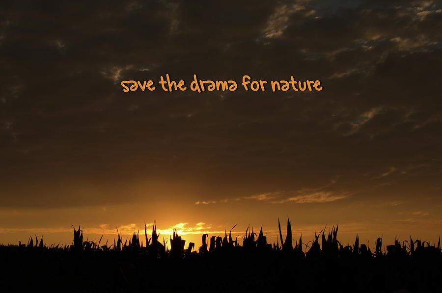 Drama Photograph - Save the drama for nature by Andrea Swiedler