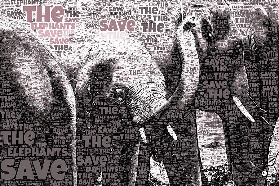 Save the Elephants Photograph by Susan Maxwell Schmidt