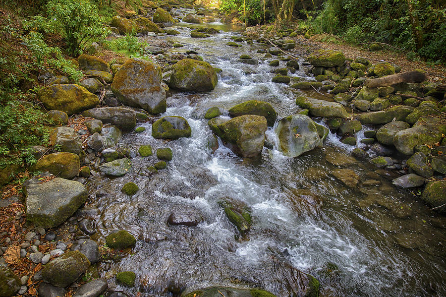 Savegre River - Costa Rica 2 Photograph by Kathy Adams Clark