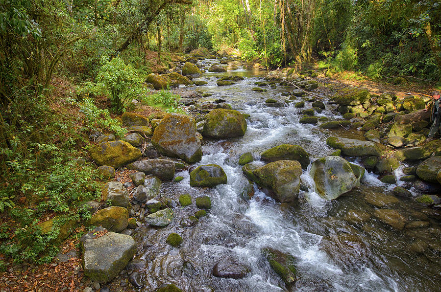 Savegre River - Costa Rica 3 Photograph by Kathy Adams Clark
