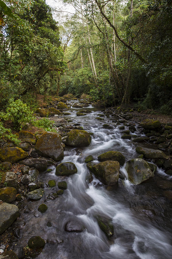 Savegre River - Costa Rica 4 Photograph by Kathy Adams Clark