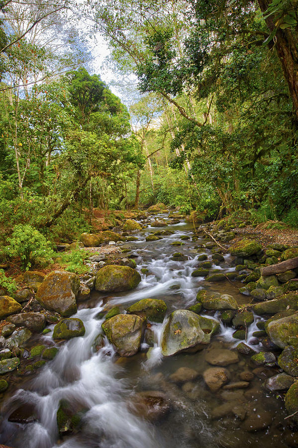 Savegre River - Costa Rica 5 Photograph by Kathy Adams Clark