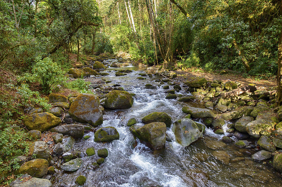 Savegre River - Costa Rica Photograph by Kathy Adams Clark