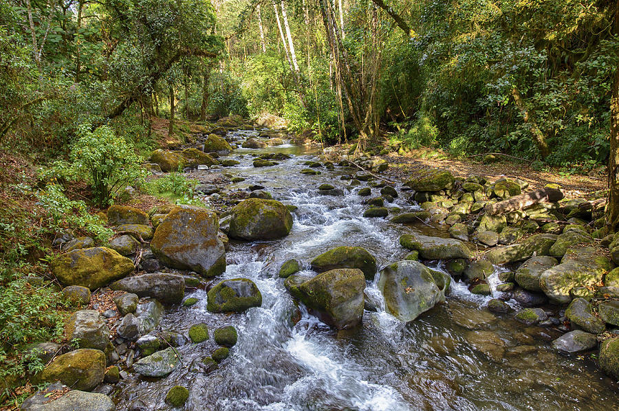 Savegre River - Costa Rica Photograph by Kathy Adams Clark - Pixels