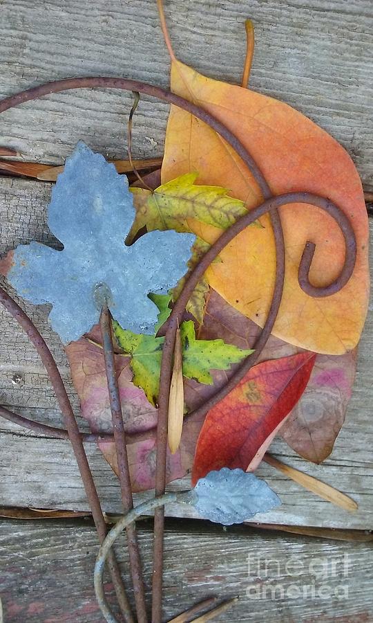 Saving Bits of Autumn Photograph by Anne Ditmars