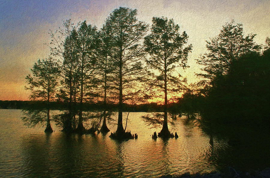 Savoring the Sunset Afterglow at Stumpy Lake, VA Beach Photograph by Ola Allen