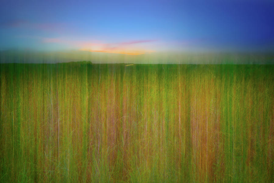 Sawgrass Abstract Photograph by Mark Andrew Thomas