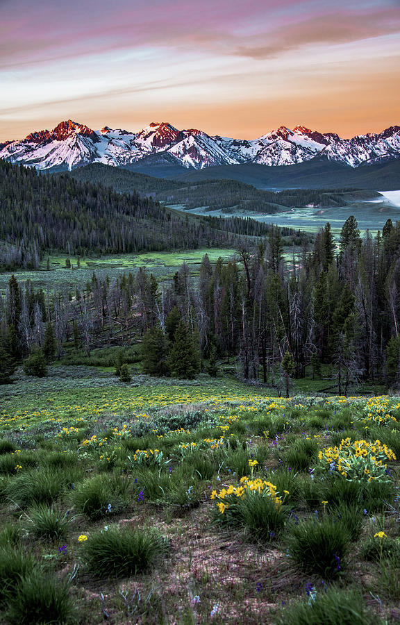 Sawtooth Mountain first light Photograph by Link Jackson
