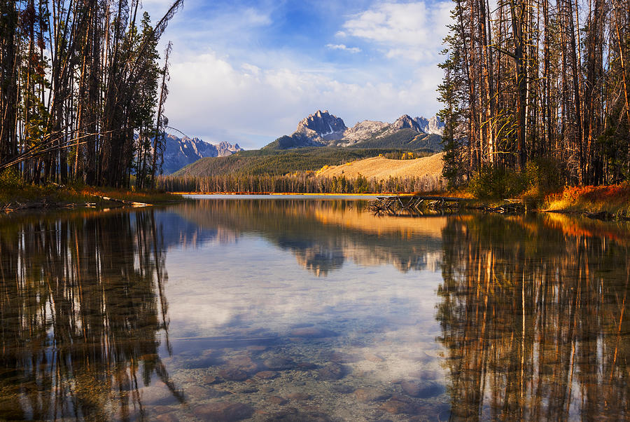 Sawtooth mountains through the trees in Stanley Idaho Photograph by Vishwanath Bhat