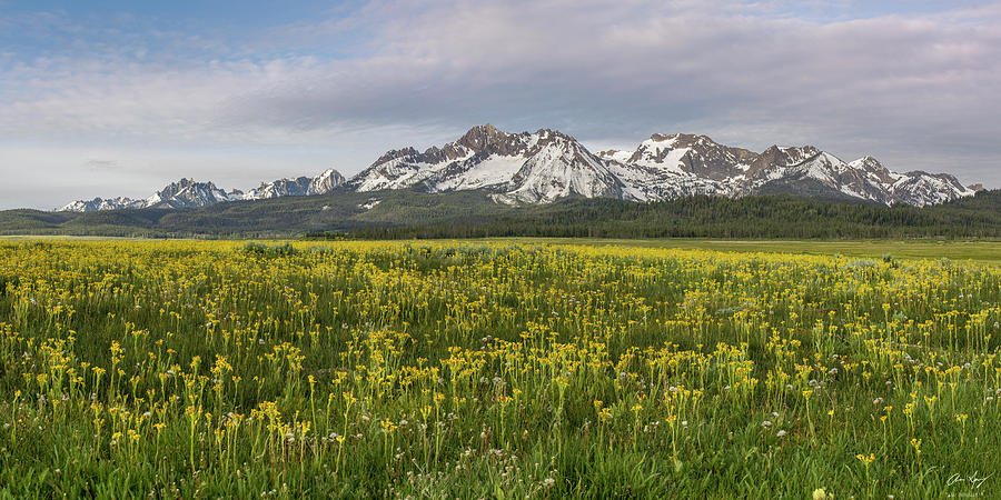 Sawtooth Range Panorama Photograph by Aaron Spong