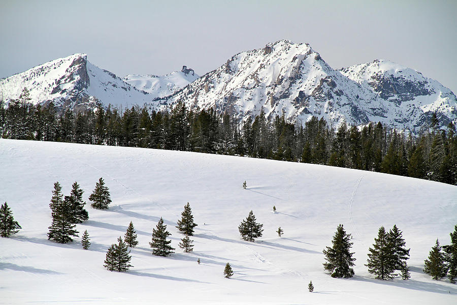 Sawtooth Wilderness Christmas Photograph by Ed Riche
