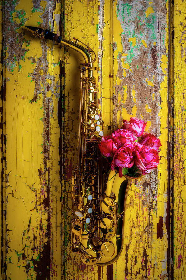 Saxophone And Roses On Wall Photograph by Garry Gay