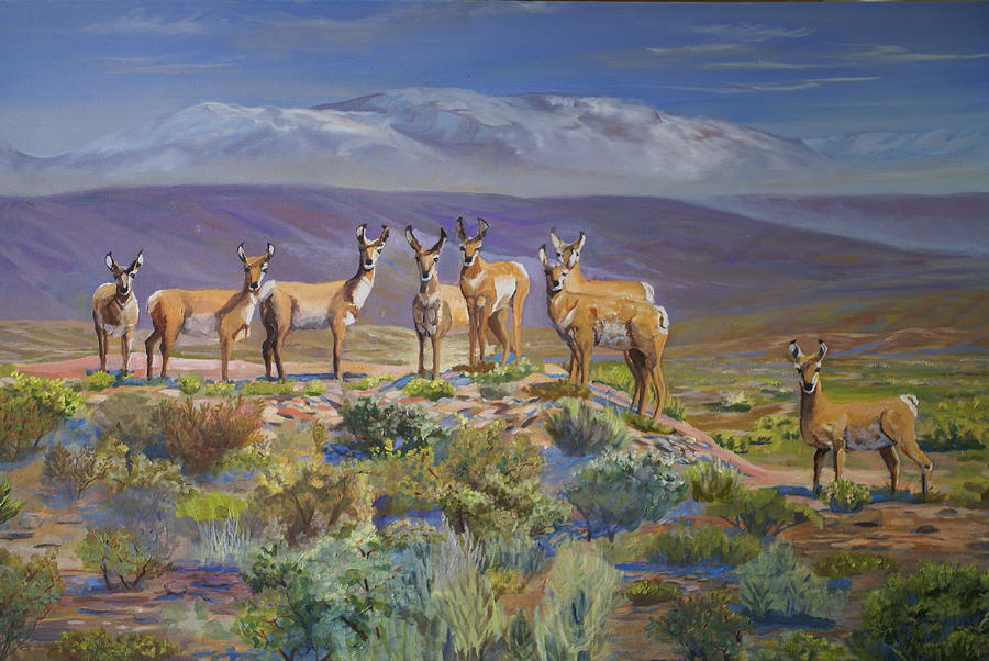 Say Cheese Antelope Painting by Heather Coen