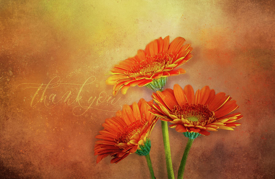 Say it with flowers Digital Art by Terry Davis
