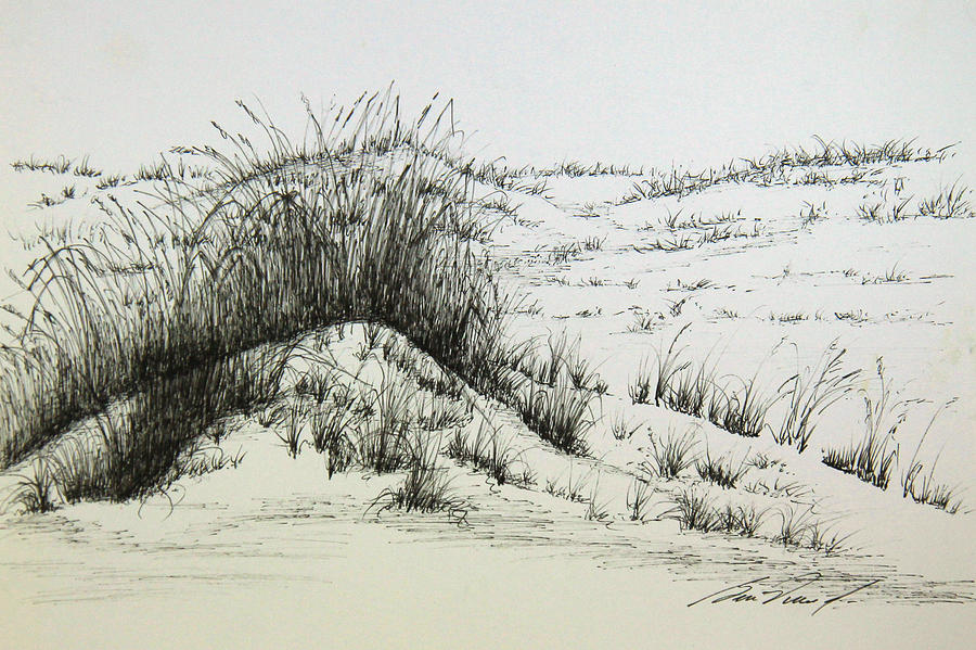Sketch the Dunes - Great Sand Dunes National Park & Preserve (U.S. National  Park Service)