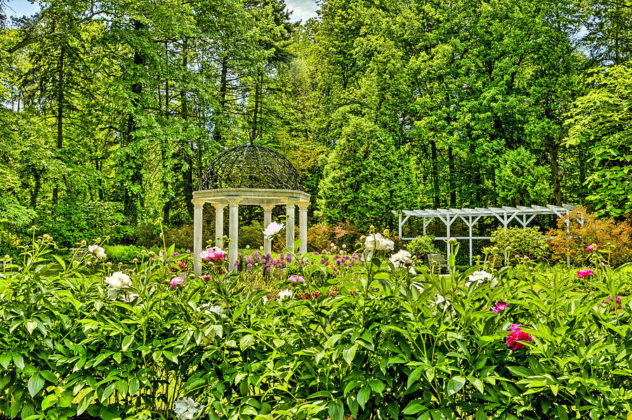 Sayen Gardens In Hamilton New Jersey Photograph By Geraldine Scull