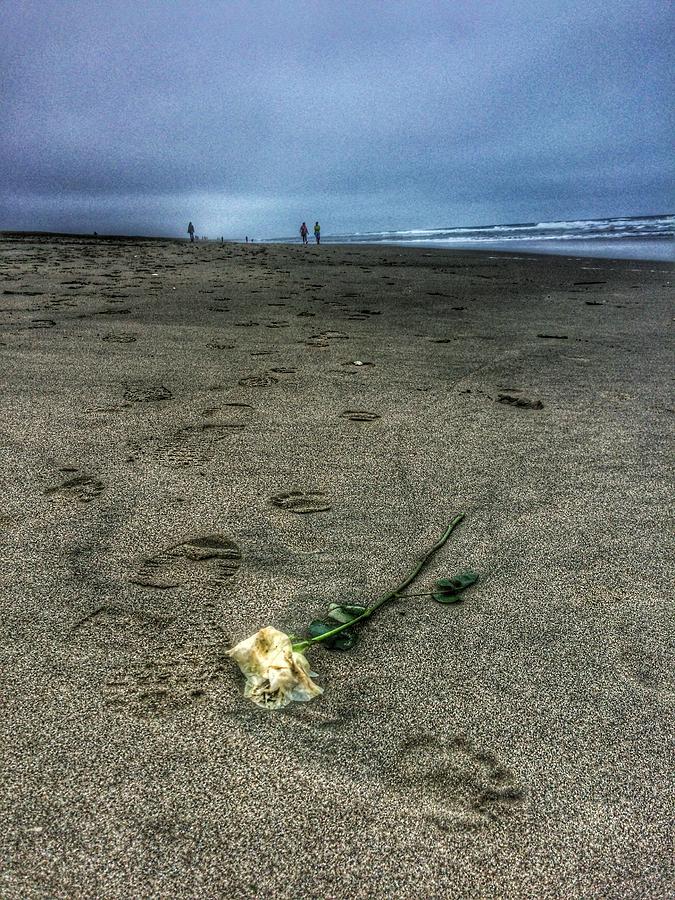 Rose Photograph - Saying Goodbye One Last Time by Nick Heap