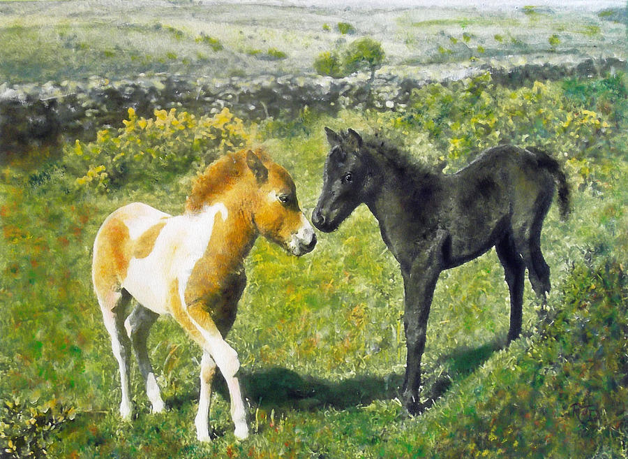 Ponies Saying Hello Painting by Richard James Digance