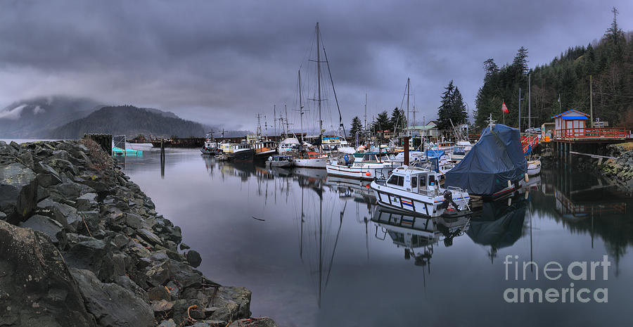 Sayward British Columbia Marina Photograph by Adam Jewell