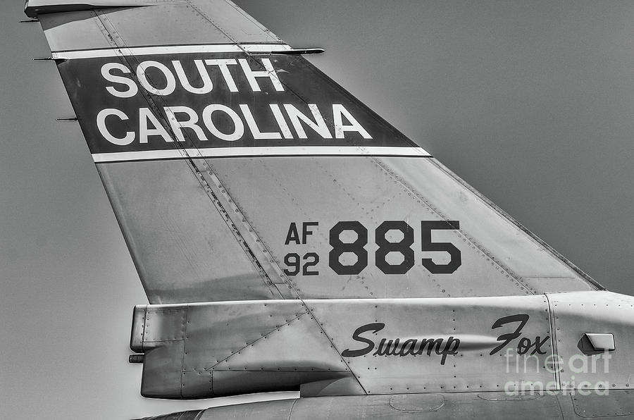 SC Swamp Fox Photograph by Dale Powell