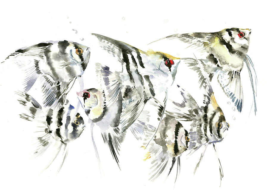 Scalar, Anbelfish Aquarium fish Painting by Suren Nersisyan