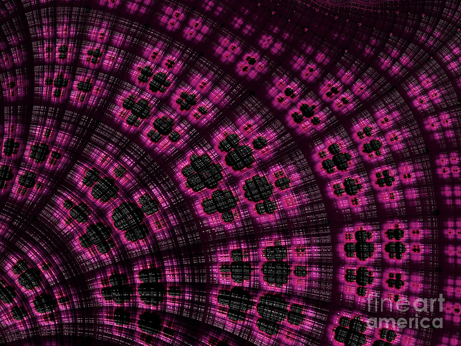 Scallop In Pink And Black Digital Art