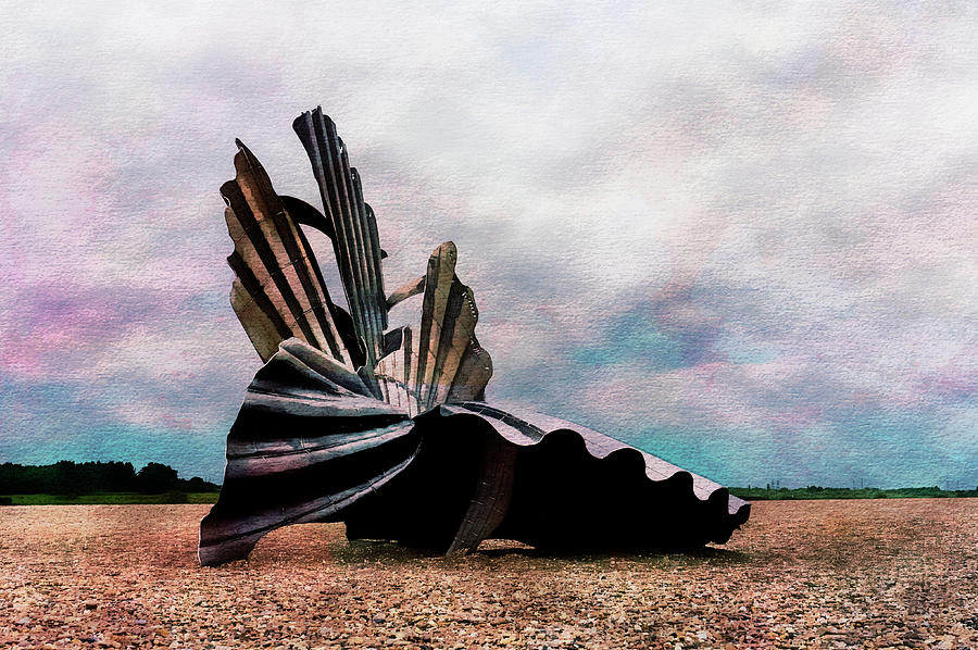 Scallop Shell at Aldeburgh Photograph by John Paul Cullen