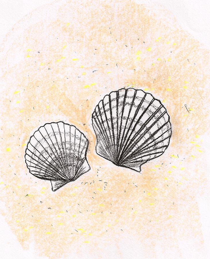 Scalloped Drawing by Mary Hurst Fine Art America
