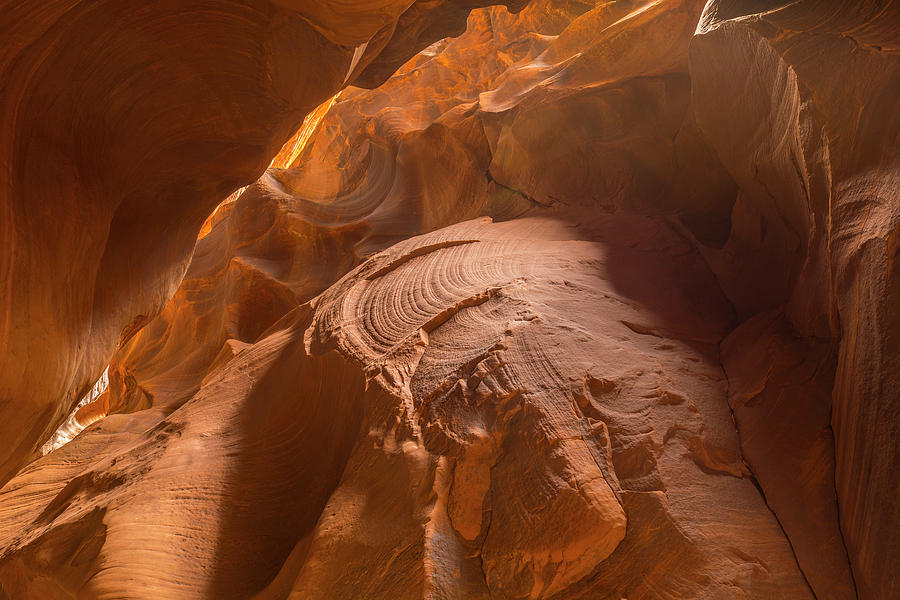 Fall Photograph - Scalloped Sandstone by Tim Grams