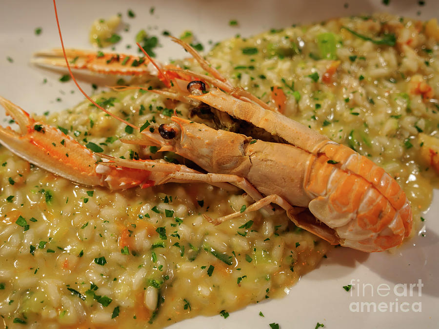 Scampi risotto Photograph by Louise Heusinkveld
