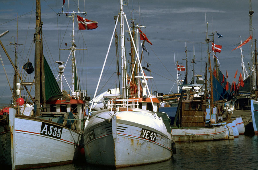 Scandinavian fisher boats Photograph by Flavia Westerwelle
