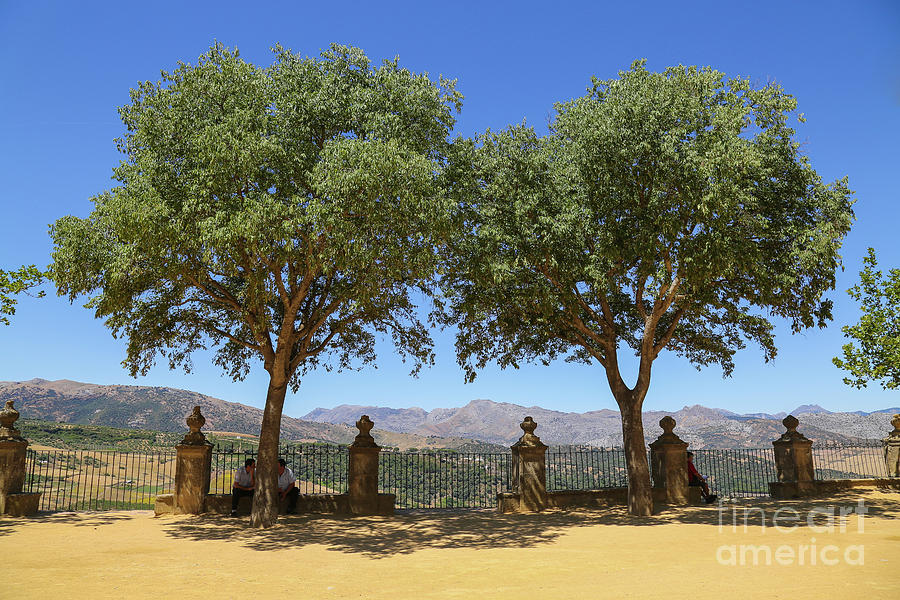 Spain Photograph - Scapes of Our Lives #29 by Edit Kalman Spain Photograph - Scapes of Our Lives #29 by Edit Kalman