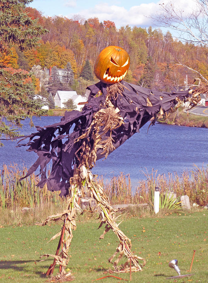Scarecrow in the Wind Photograph by Barbara McDevitt