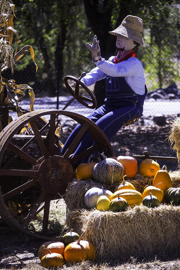 Pumpkin Photograph - Scarecrow On Tractor by Garry Gay