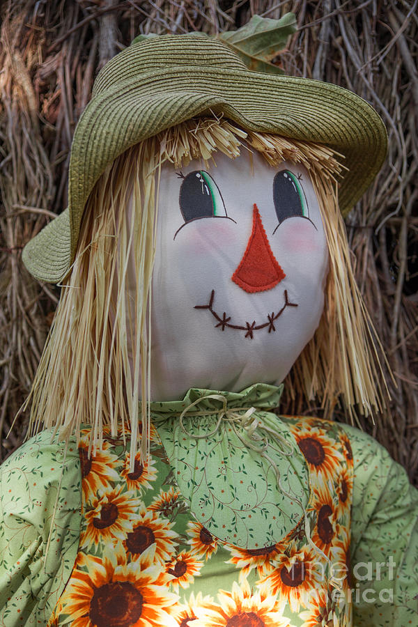 Scarecrow Selfie Photograph by Lynn Sprowl