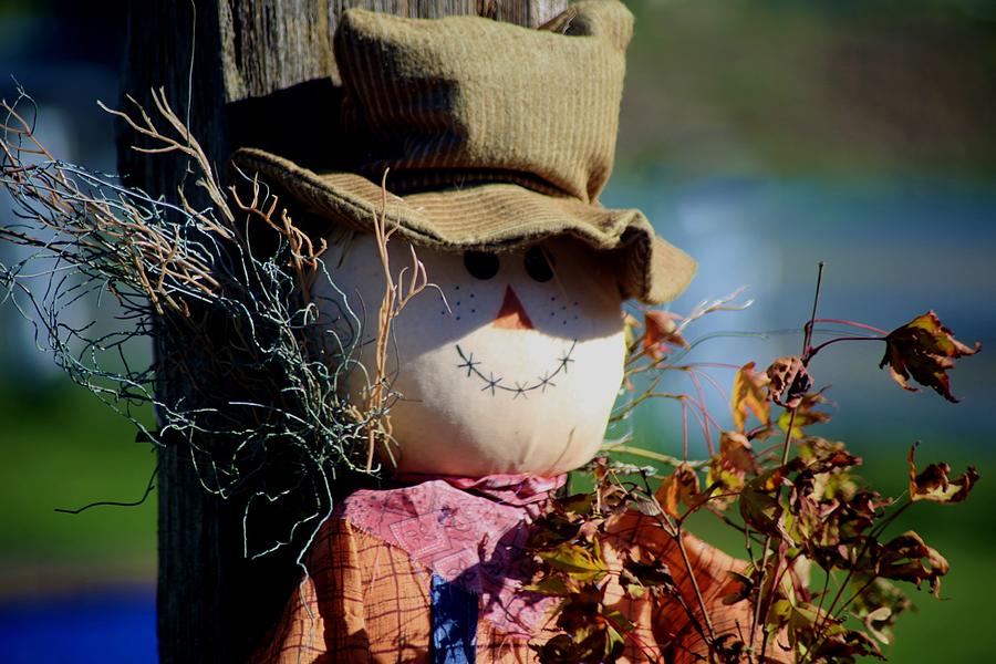 Scarecrow smile Photograph by Sheila Ping