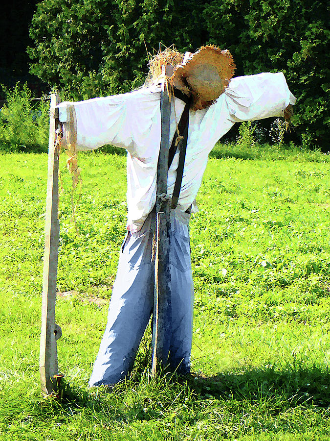 Scarecrow Photograph by Susan Savad