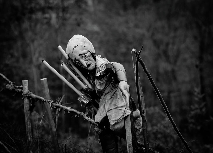 Scarecrow Photograph by Timothy Martel