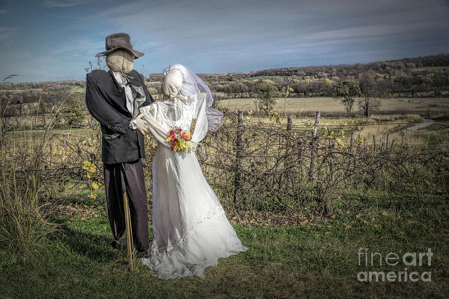 Scarecrow Wedding Photograph by Lynn Sprowl