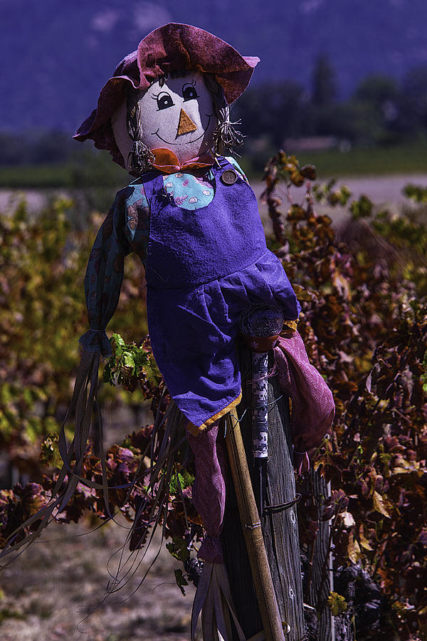 Pumpkin Photograph - Scarecrow With Floppy Hat by Garry Gay