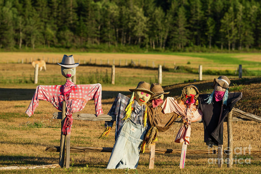 Scarecrows Photograph by Les Palenik