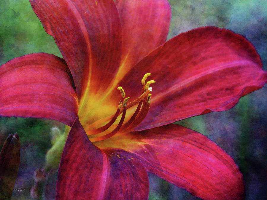 Scarlet And Gold Dust 3716 Idp_2 Photograph