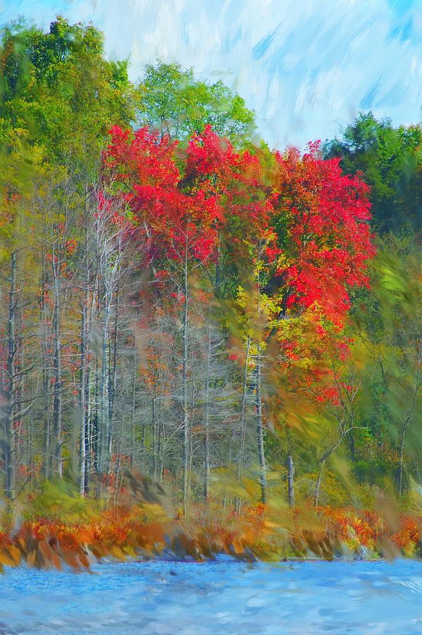 Scarlet Autumn Burst Digital Art by David Lane