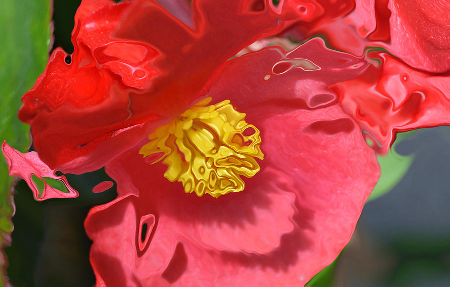 Scarlet Begonia Digital Art by Lynellen Nielsen
