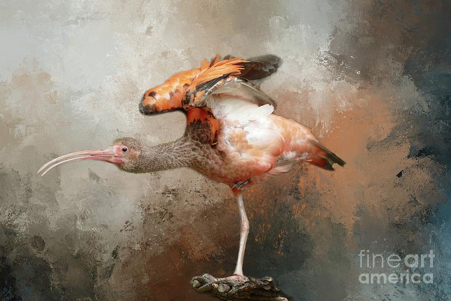 Bird Photograph - Scarlet Ibis by Eva Lechner