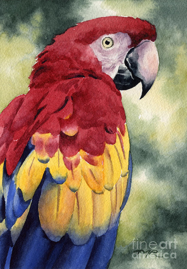 Macaw Painting - Scarlet Macaw by David Rogers