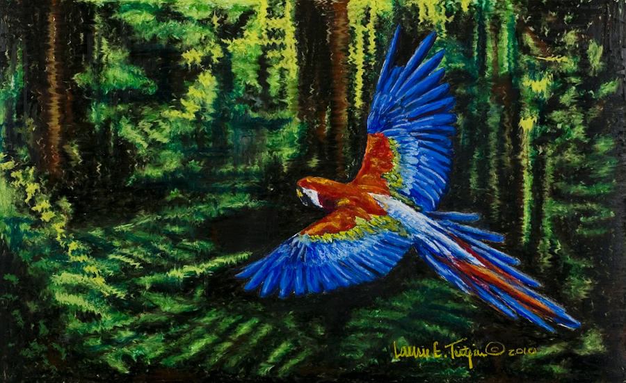Scarlet Macaw in the Forest Drawing by Laurie Tietjen