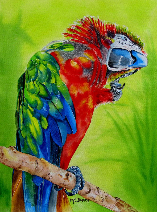 Scarlet Macaw Painting by Maria Barry