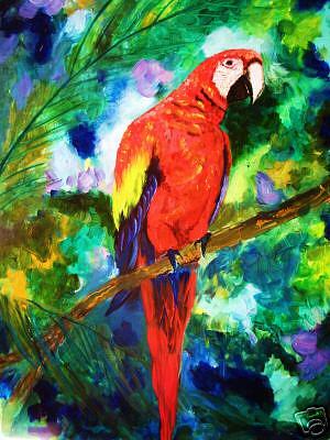 Scarlet Macaw Painting by Pamela Squires - Fine Art America