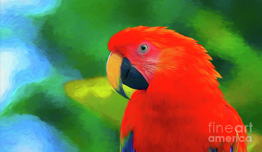 Scarlet Macaw Painting by Paul Gerace